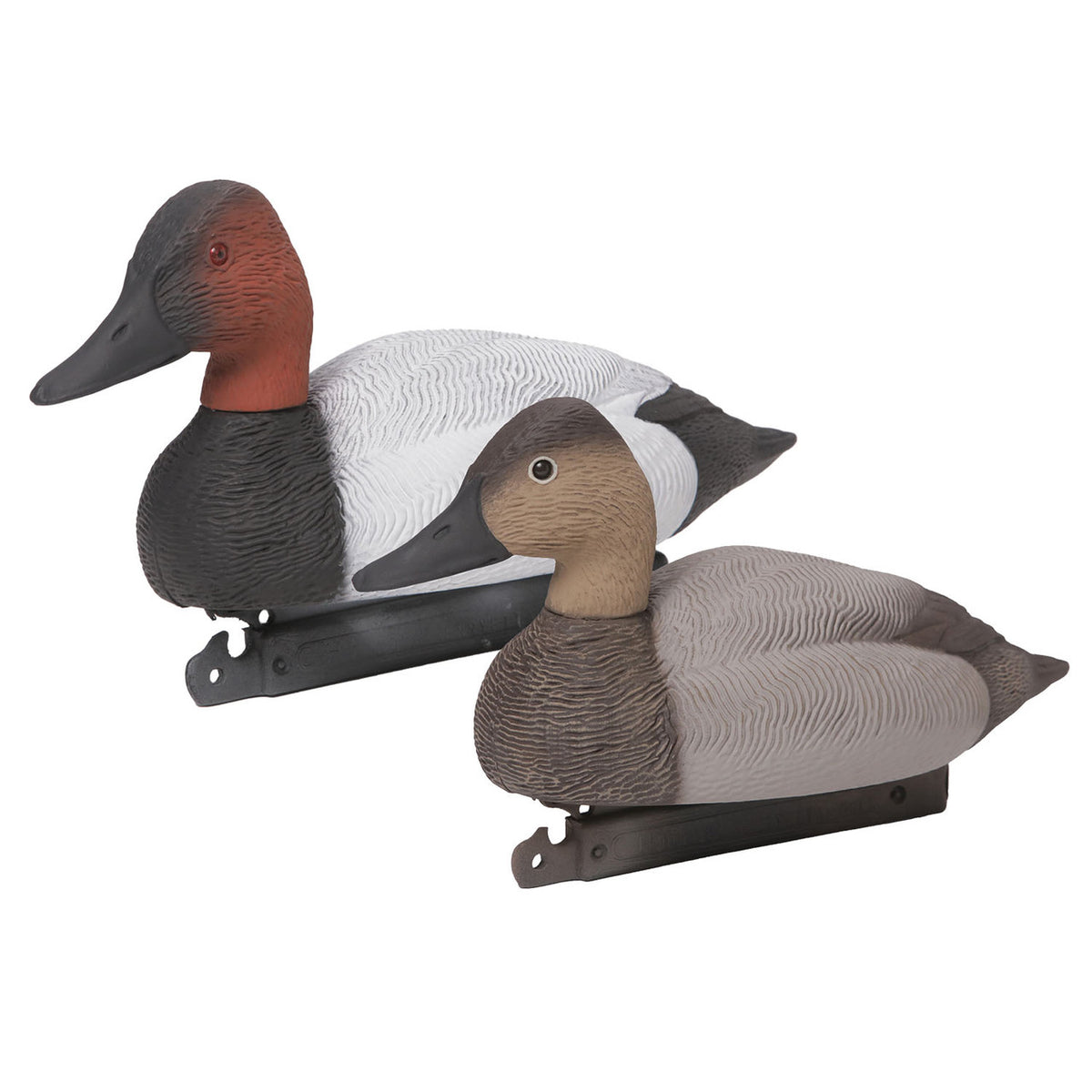 Pair Image of the G&H Decoys Premier Series Canvasback Duck Decoys.