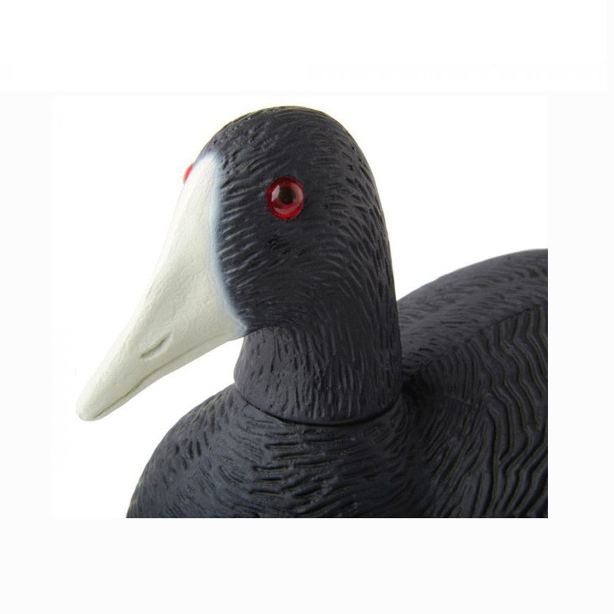 Coot Duck Decoys, 12 Pack