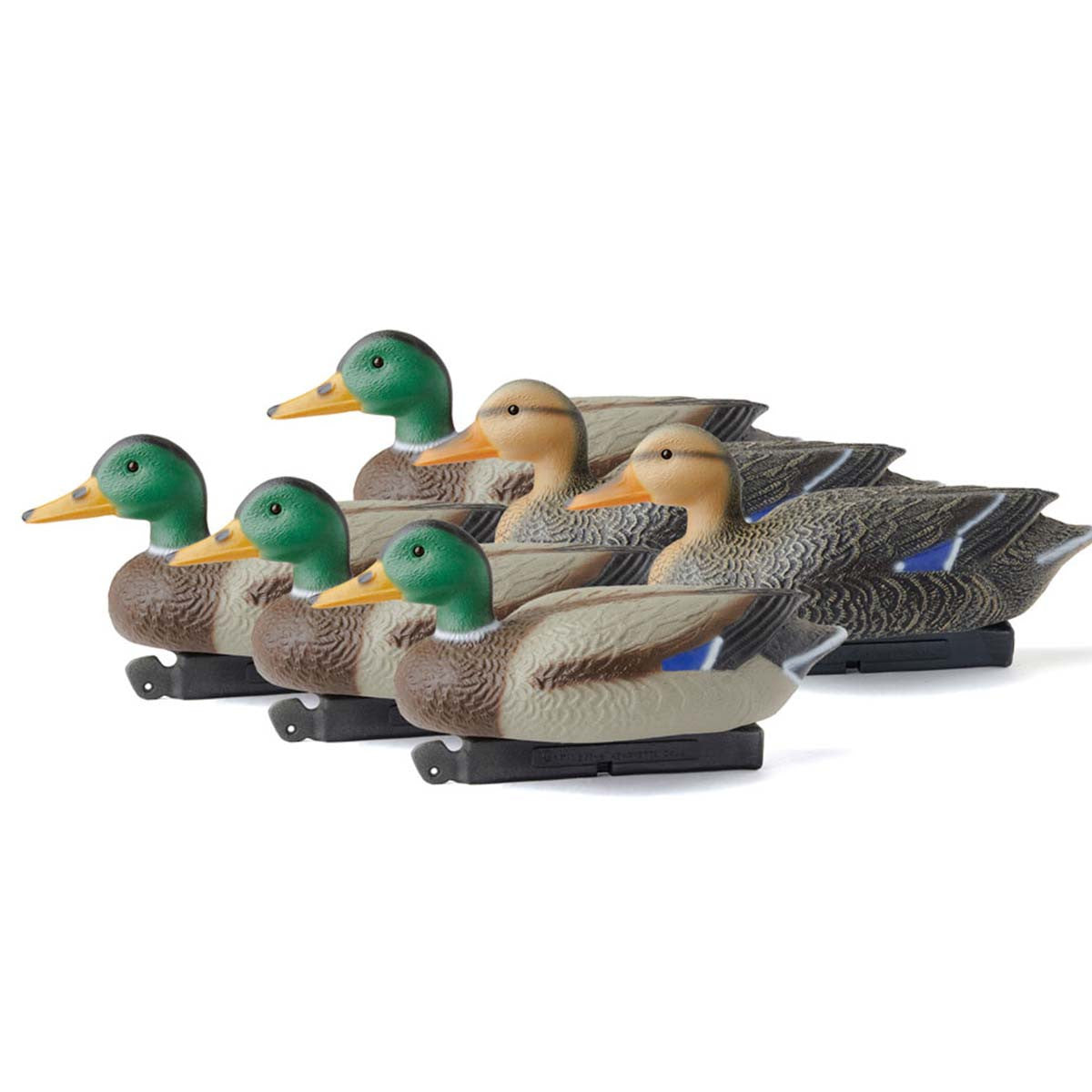 Mallard Classic Magnum, 6 Pack