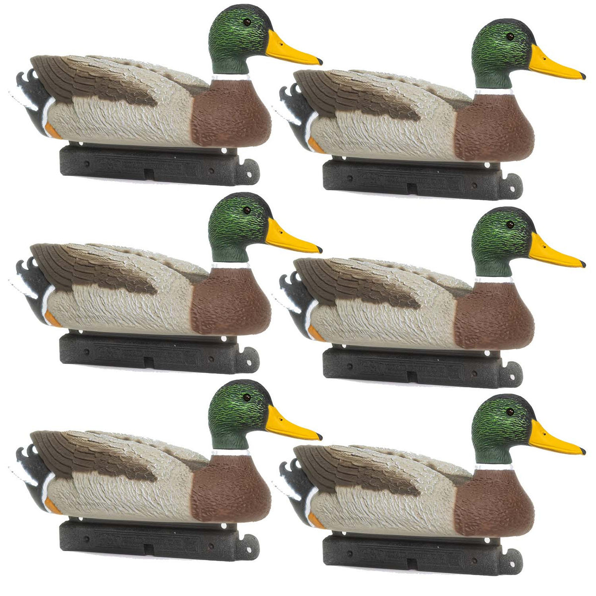 Six Pack Image of the G&H Decoys Premier Series Magnum Mallard Drake Decoys.