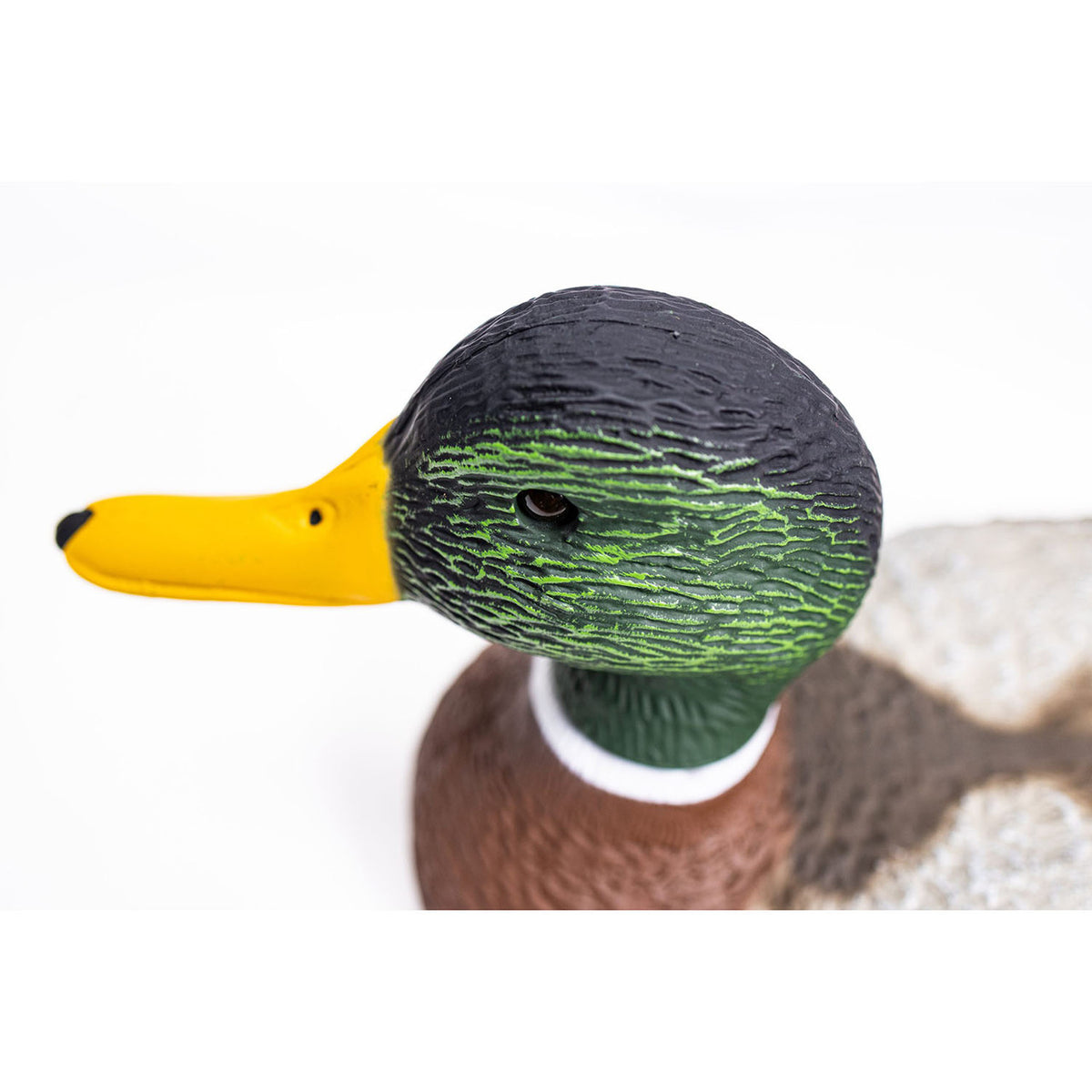 Top of Drake Head Image on the Premier Series Magnum Mallard Drake Pack.