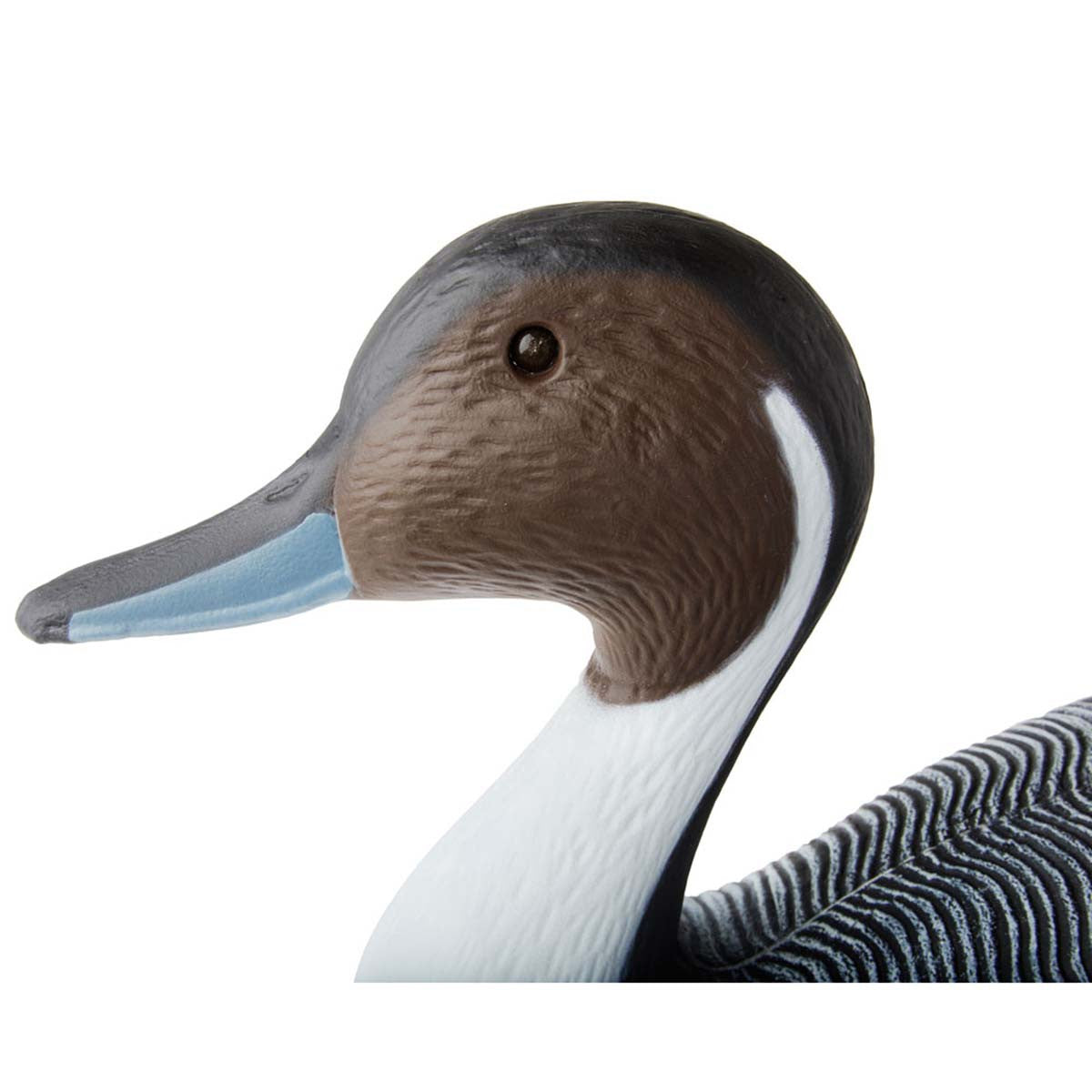 G&H Decoys Pintail Super Magnum Drake Head Image