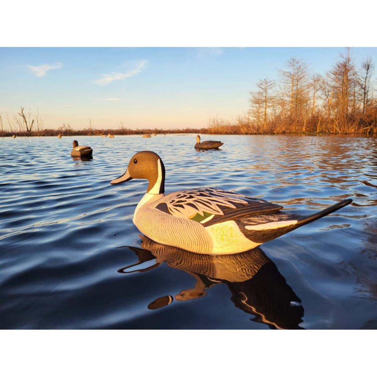 G&H Decoys Pintail Oversize Drake Only Duck Decoys Mood Image
