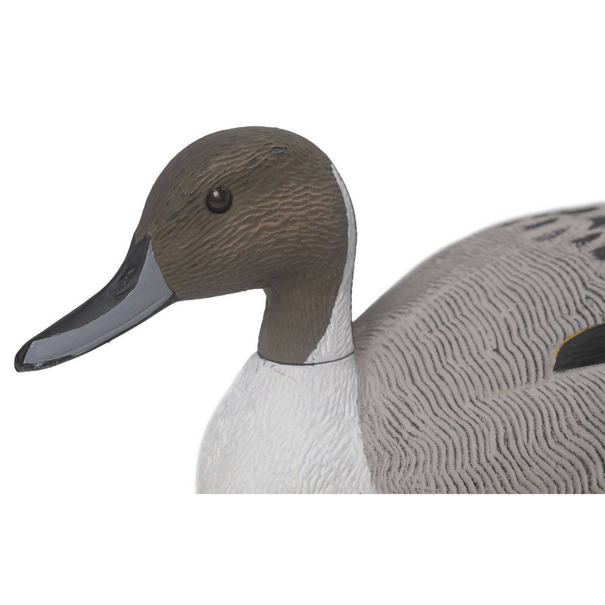G&H Decoys Pintail Oversize Drake Only Duck Decoy Head Image
