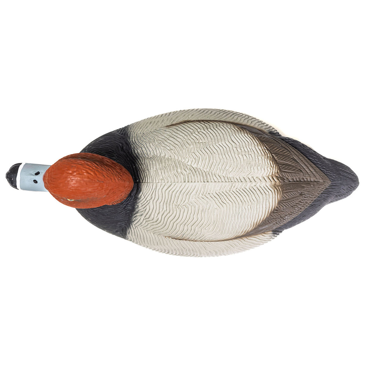 Top View of Drake Image of the G&H Decoys Premier Series Redhead Duck Decoys.
