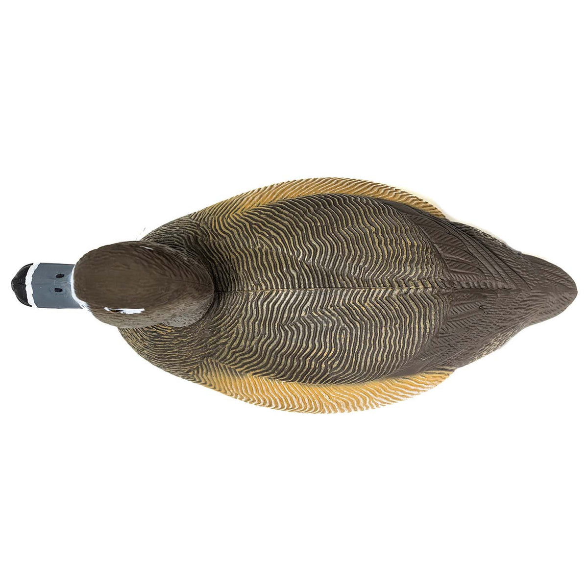 Top View of Hen Image of the G&H Decoys Premier Series Redhead Duck Decoys.