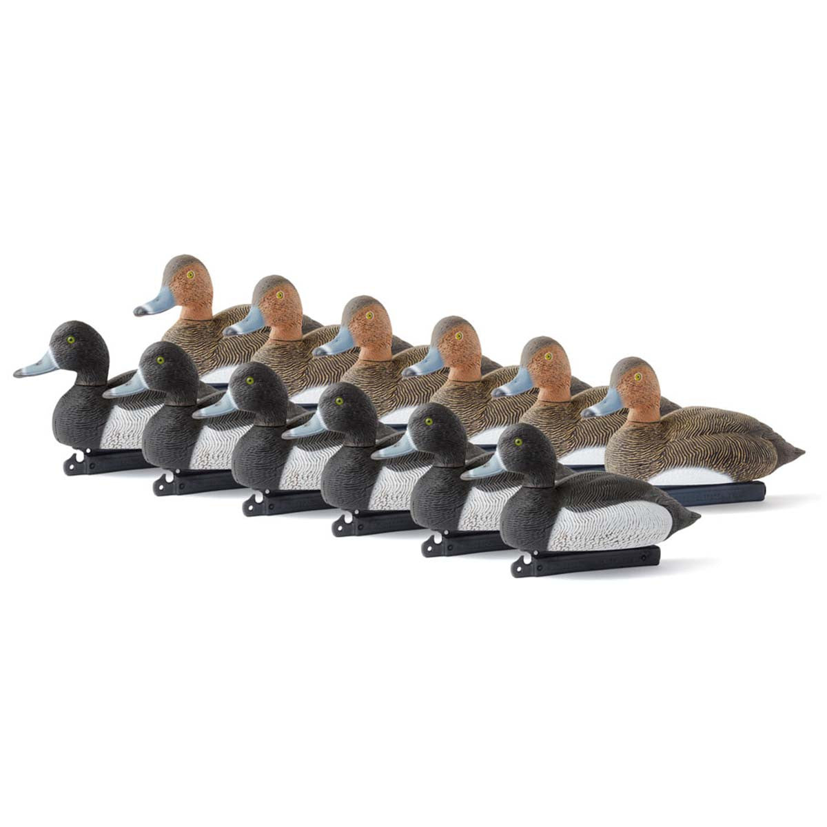 Ringneck Duck Decoys, 12 Pack