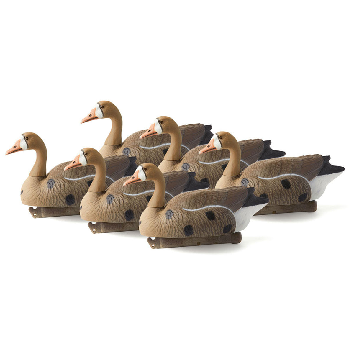 White Front Goose Decoy, 6 Pack