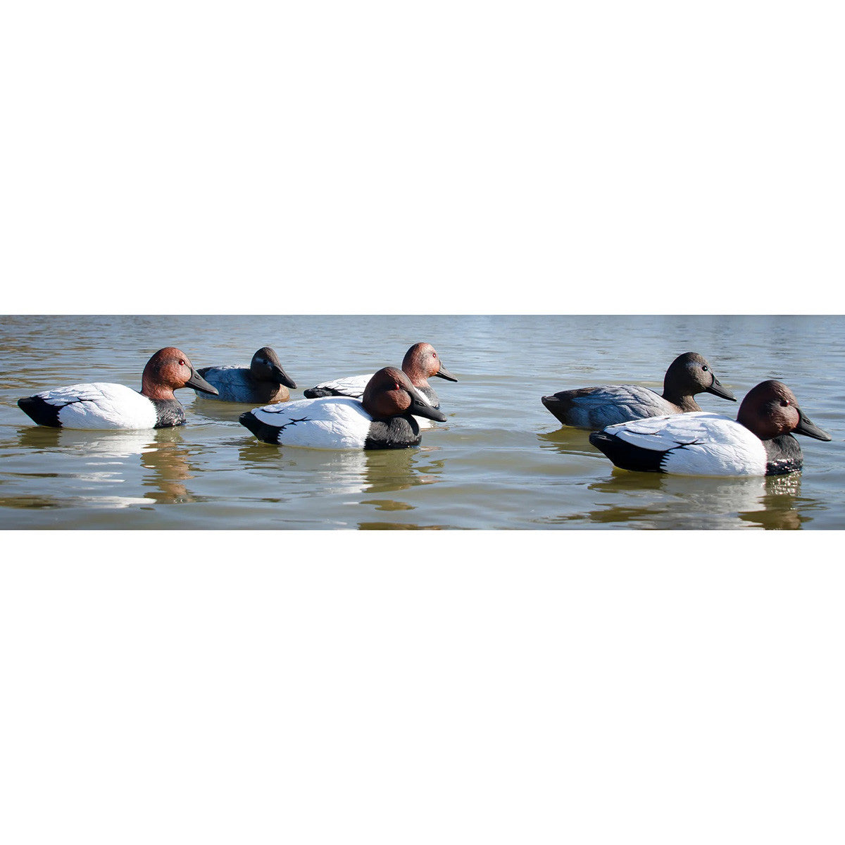 Higdon Standard Canvasback Foam-Filled Duck Decoys 12 Pack In-the-Water Image