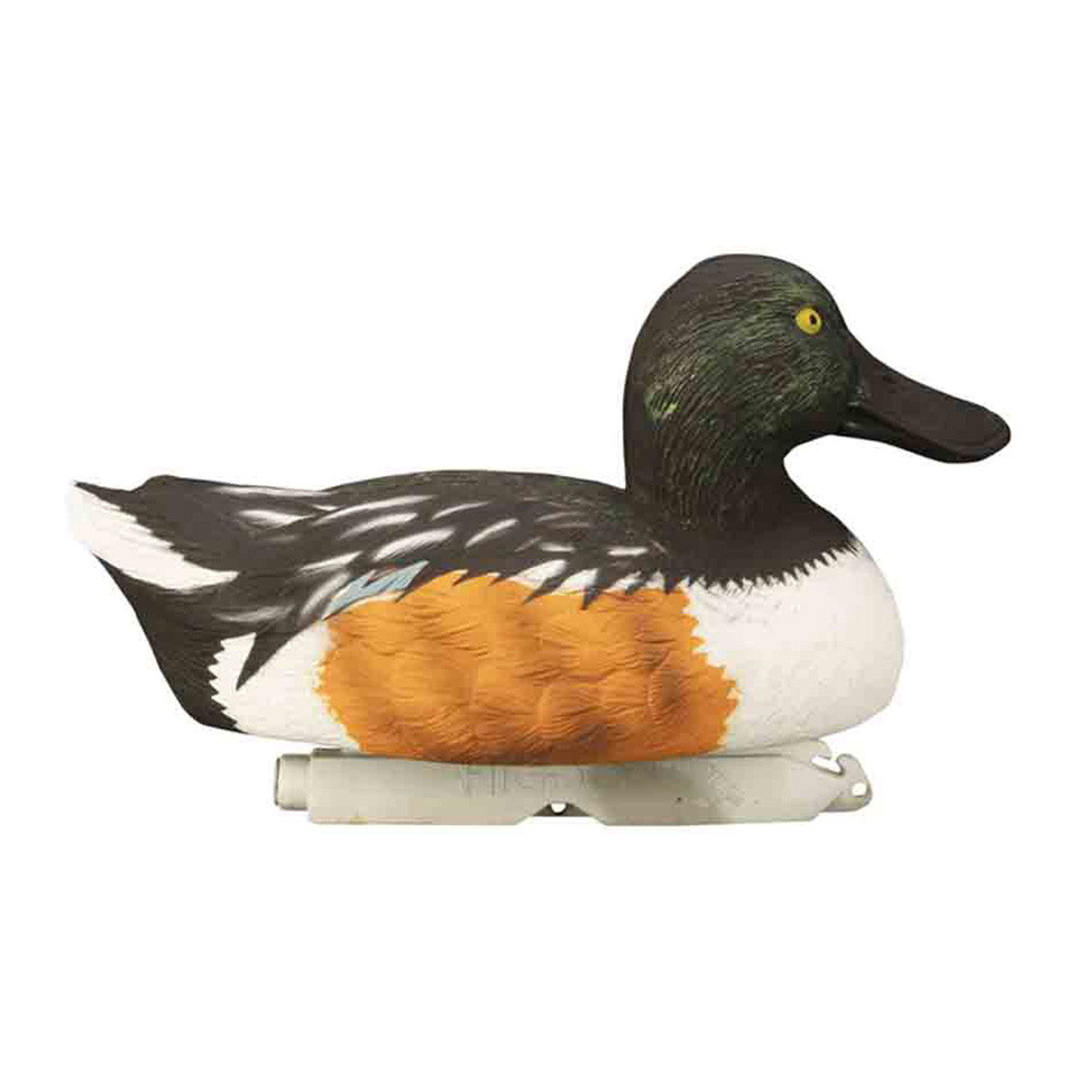 Higdon Standard Shoveler Foam Filled Decoy Upright Drake Image