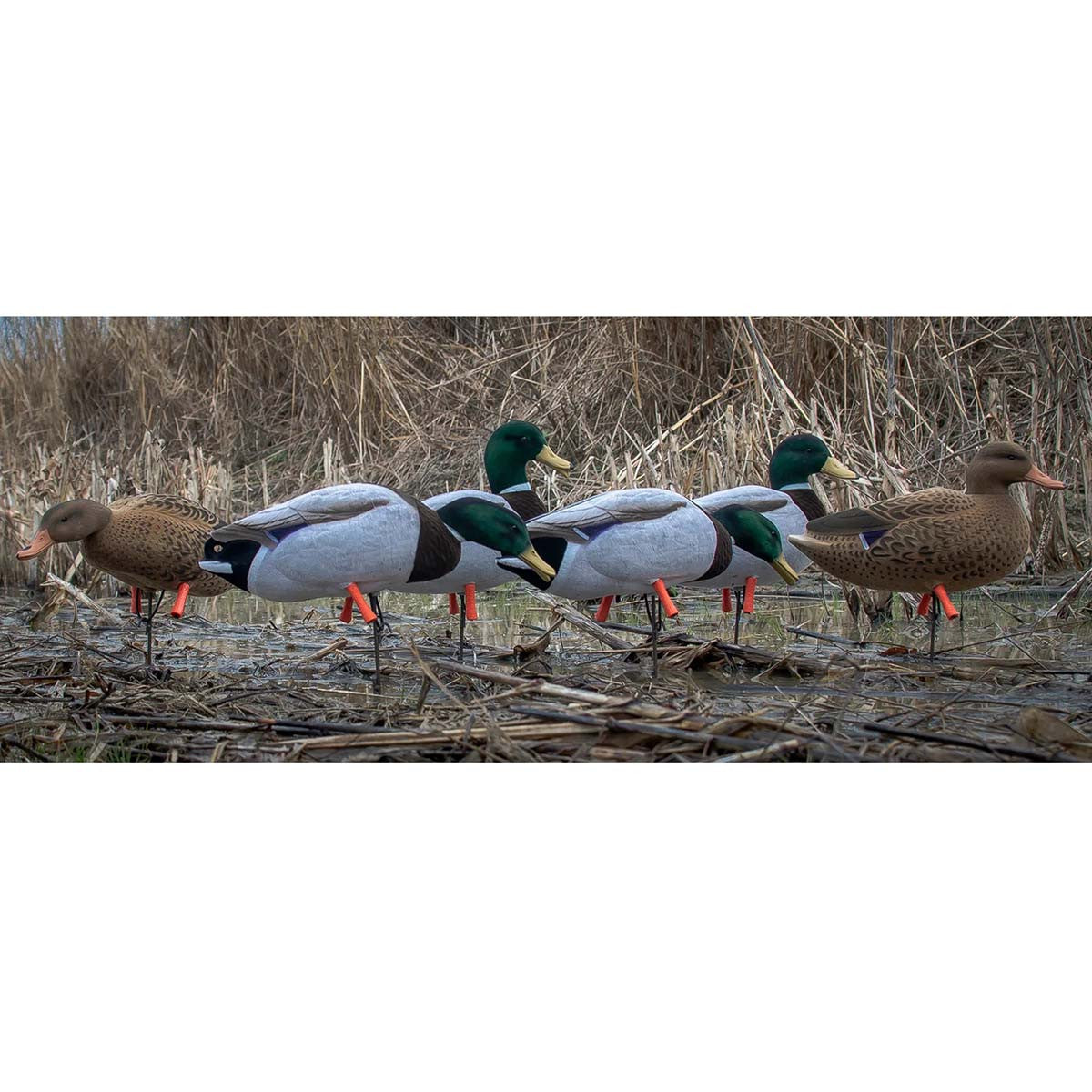 Higdon Magnum Full-Body Mallard, Variety 6 Pack with Flocked Heads and Free Bag Image