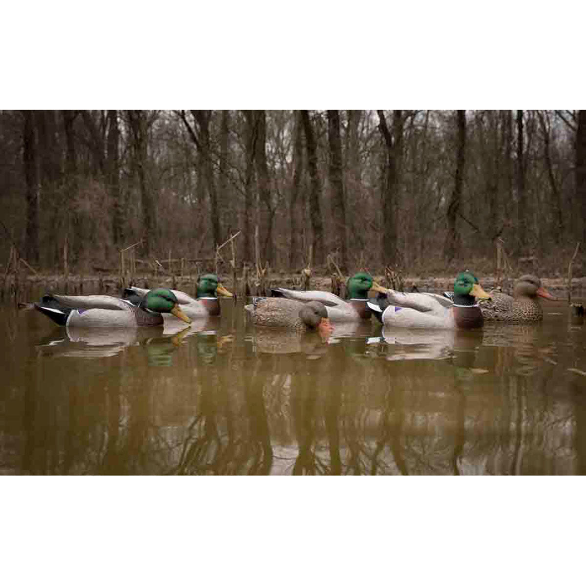 Battleship Super Magnum Foam Filled Mallard Floaters, 6 Pack