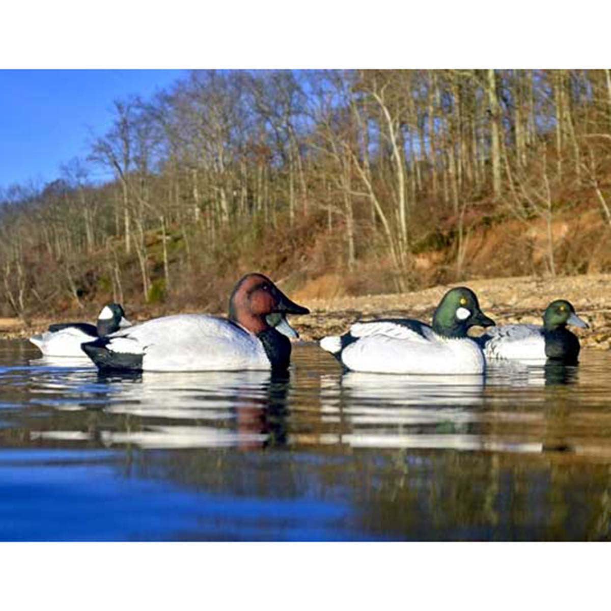 Higdon Battleship Diver Drake Foam Filled Duck Decoys Lifestyle Image