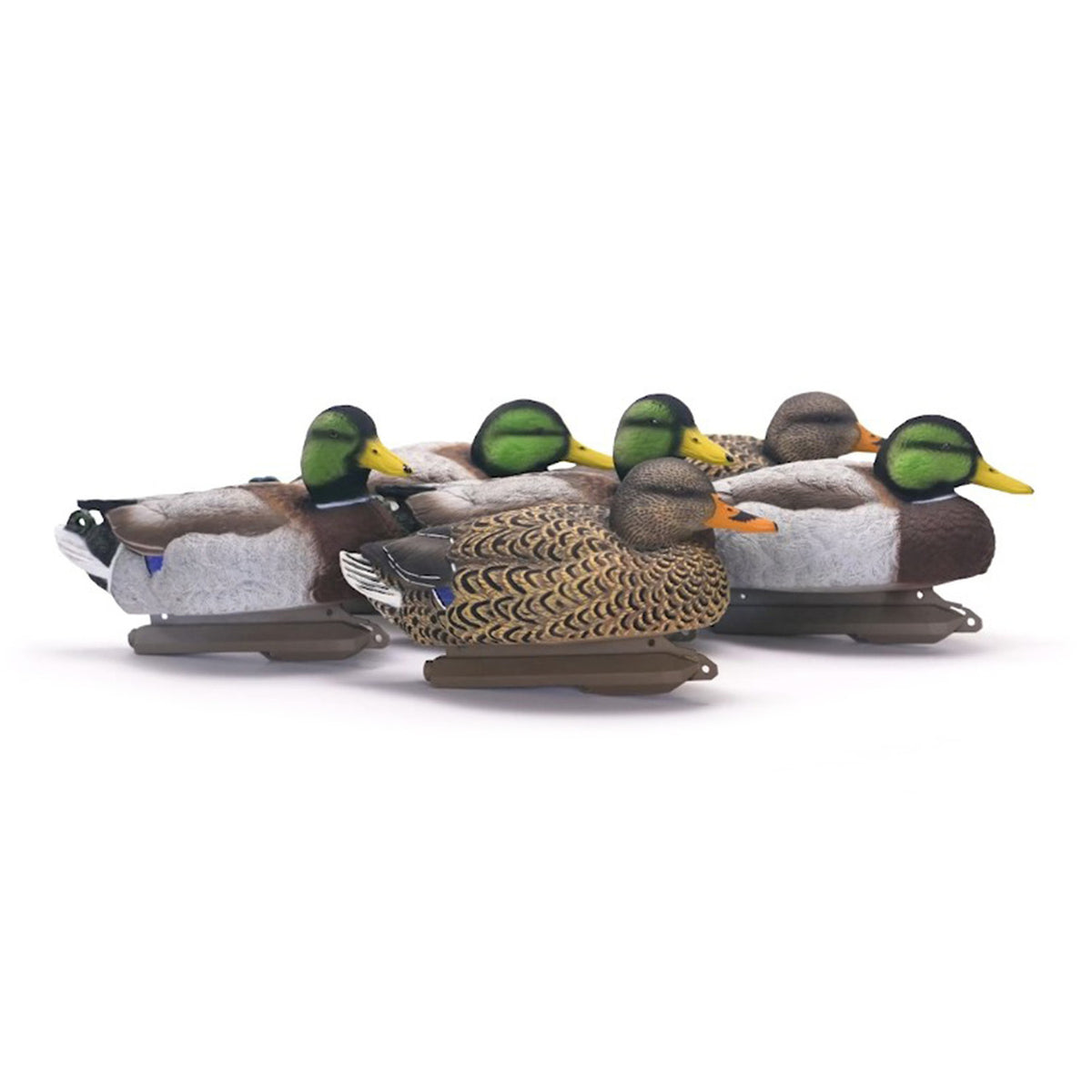 Higdon Outdoors Legacy Magnum Mallard Foam Filled Duck Decoys with Flocked Heads, 6 Pack Image