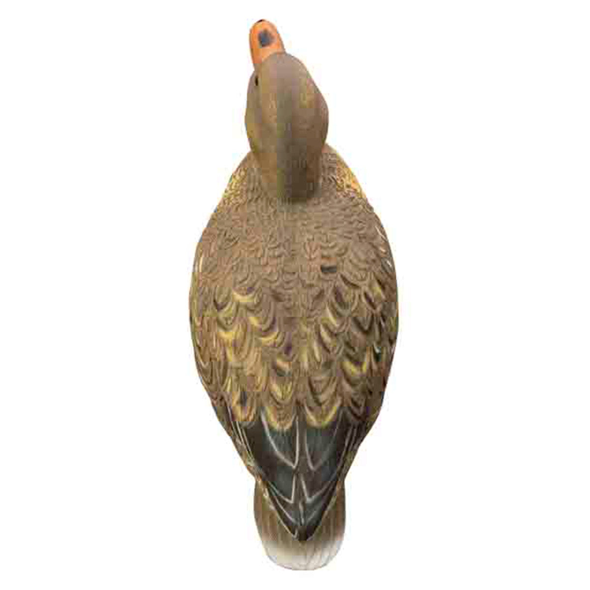 Higdon Outdoors Magnum Mallard Foam Filled Decoys with Painted Heads Feeder Hen Top Image