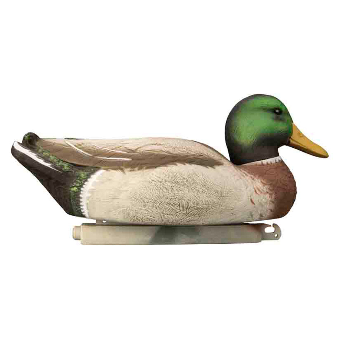Higdon Outdoors Magnum Mallard Foam Filled Decoys with Painted Heads Low Head Drake Image