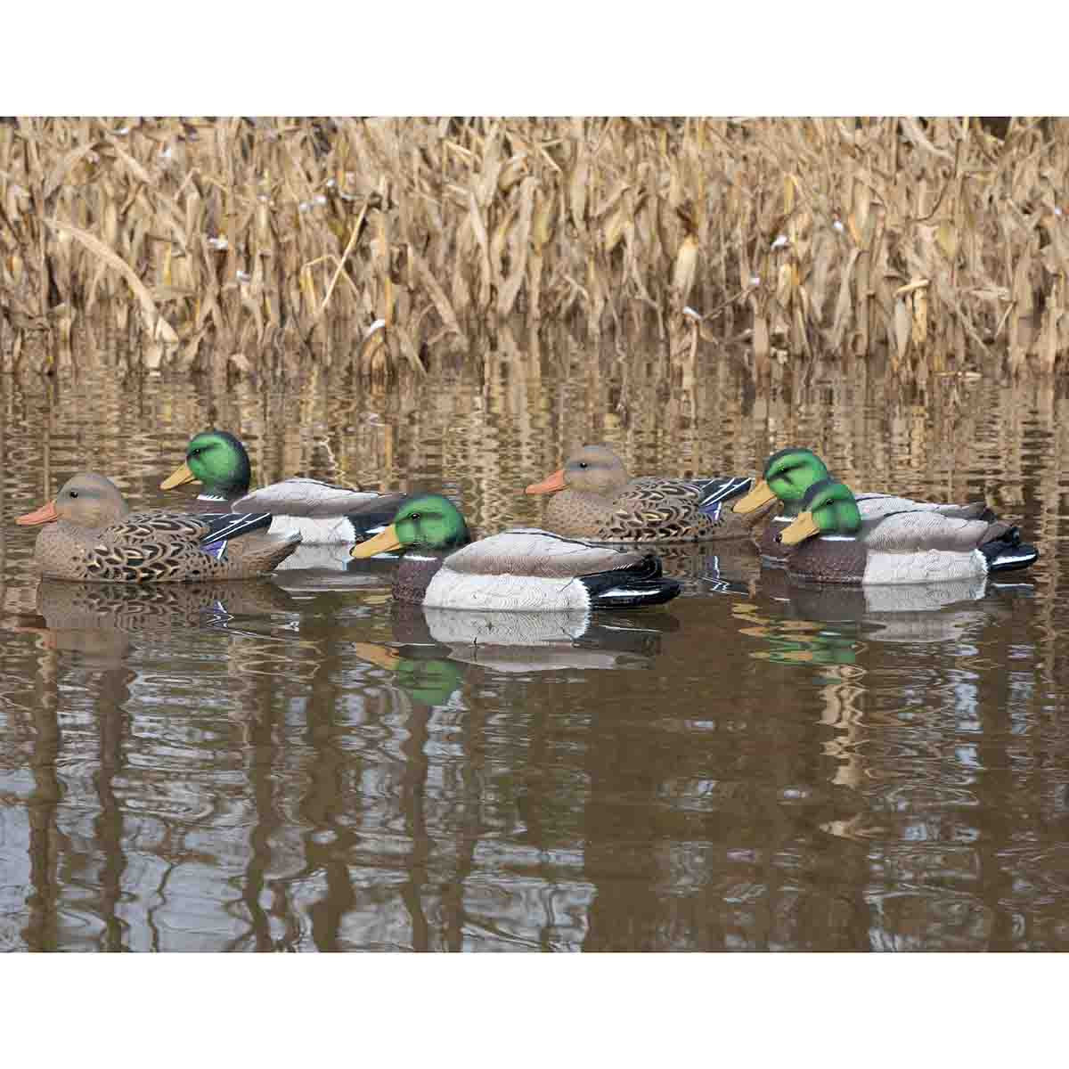 Standard Mallard Duck Decoys, 6 Pack