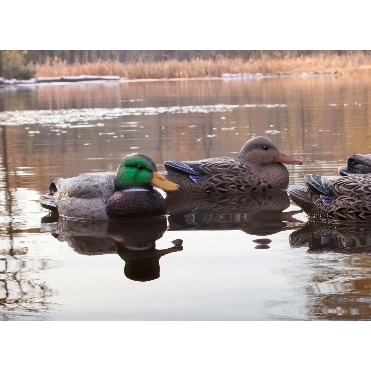 Higdon Standard Size Mallard Filler Pack Foamed Filled Floating Duck Decoys Image