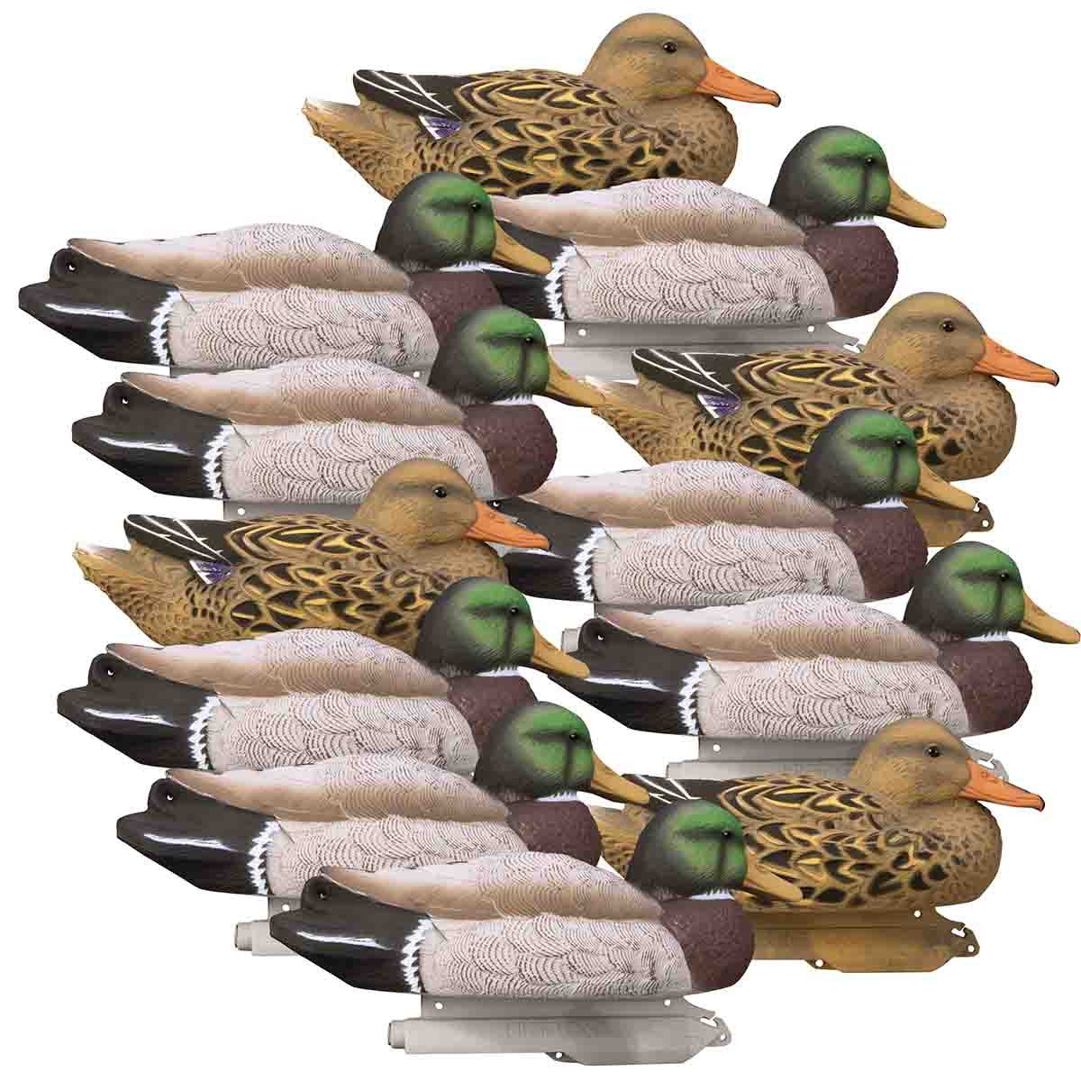 Standard Mallard Foam Filled Duck Decoys 12 Pack