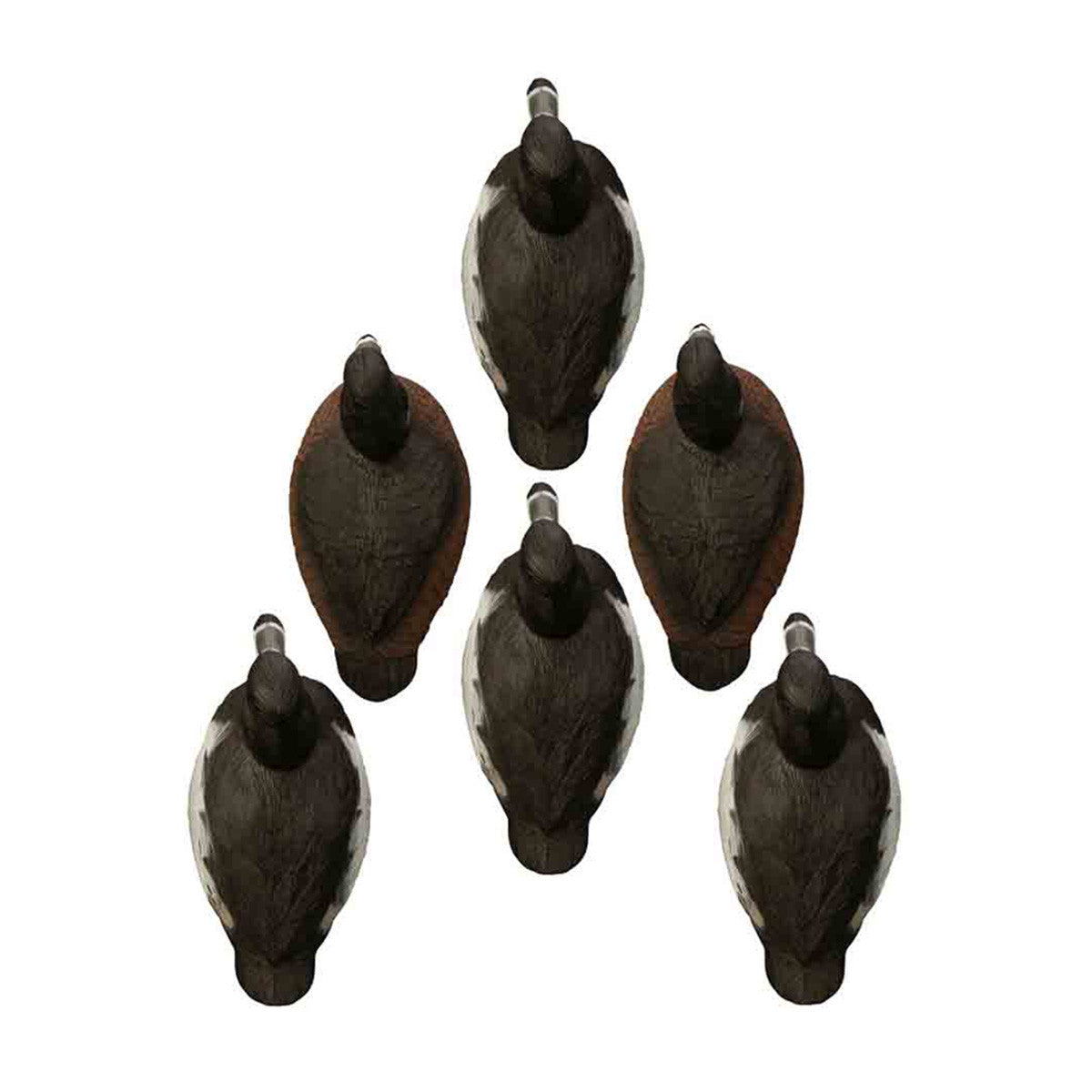 Higdon Standard Ringneck Foam Filled Floating Duck Decoys, 6 Pack Top Image