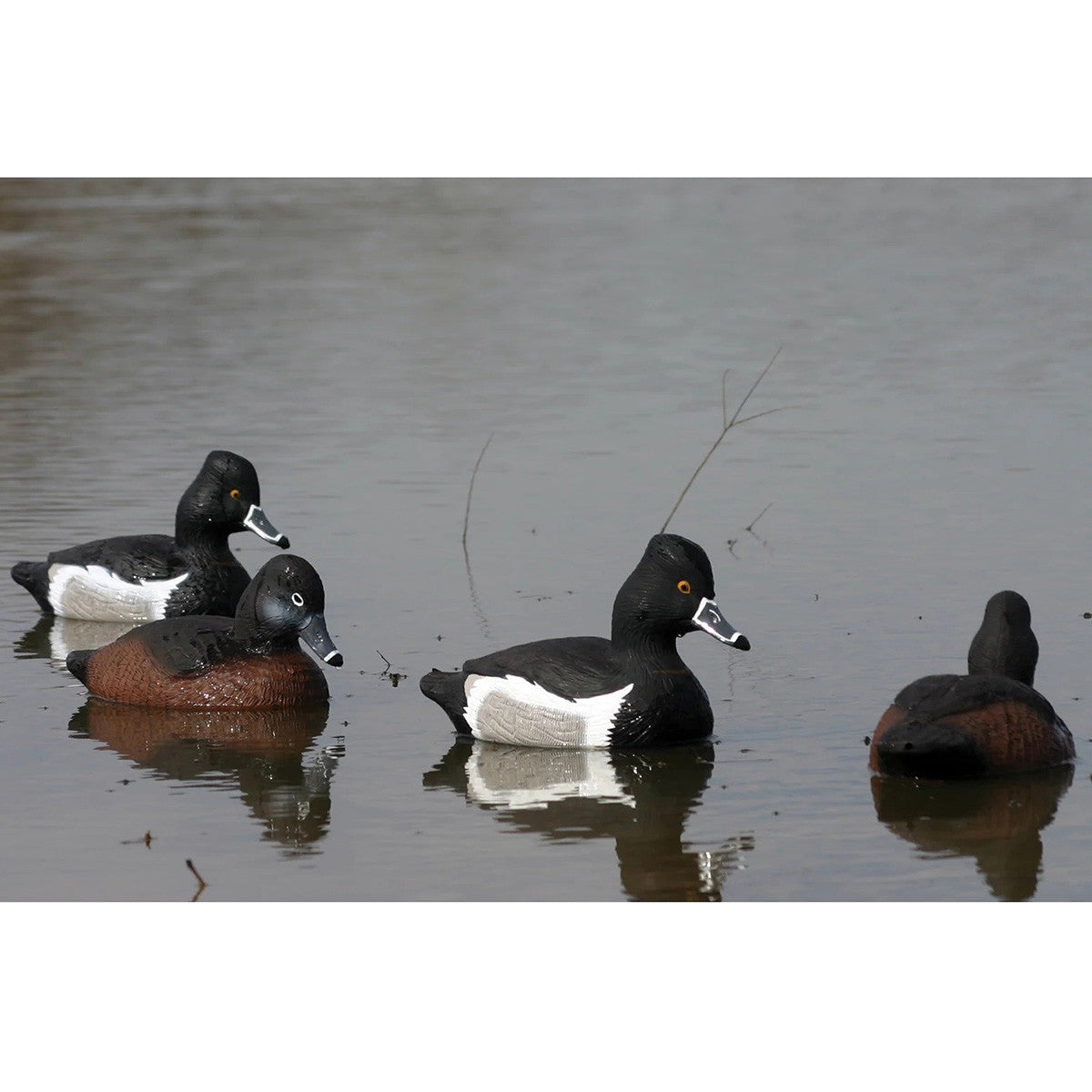 Higdon Standard Ringneck Foam-Filled Floating Duck Decoys Field Image