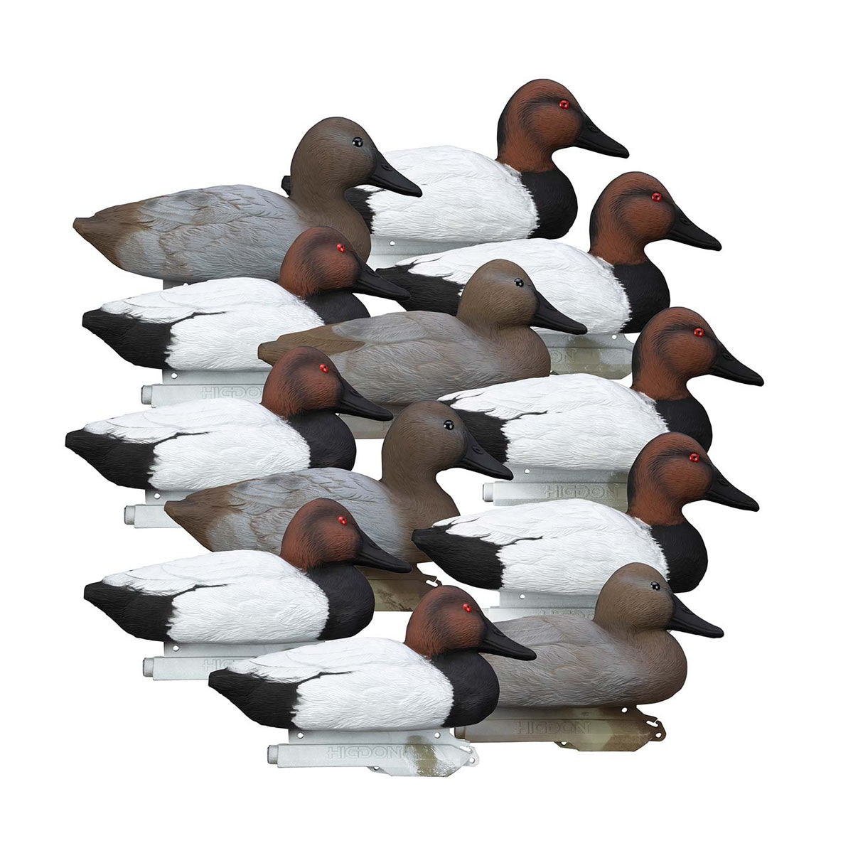 Higdon Standard Canvasback Foam-Filled Duck Decoys 12 Pack Image