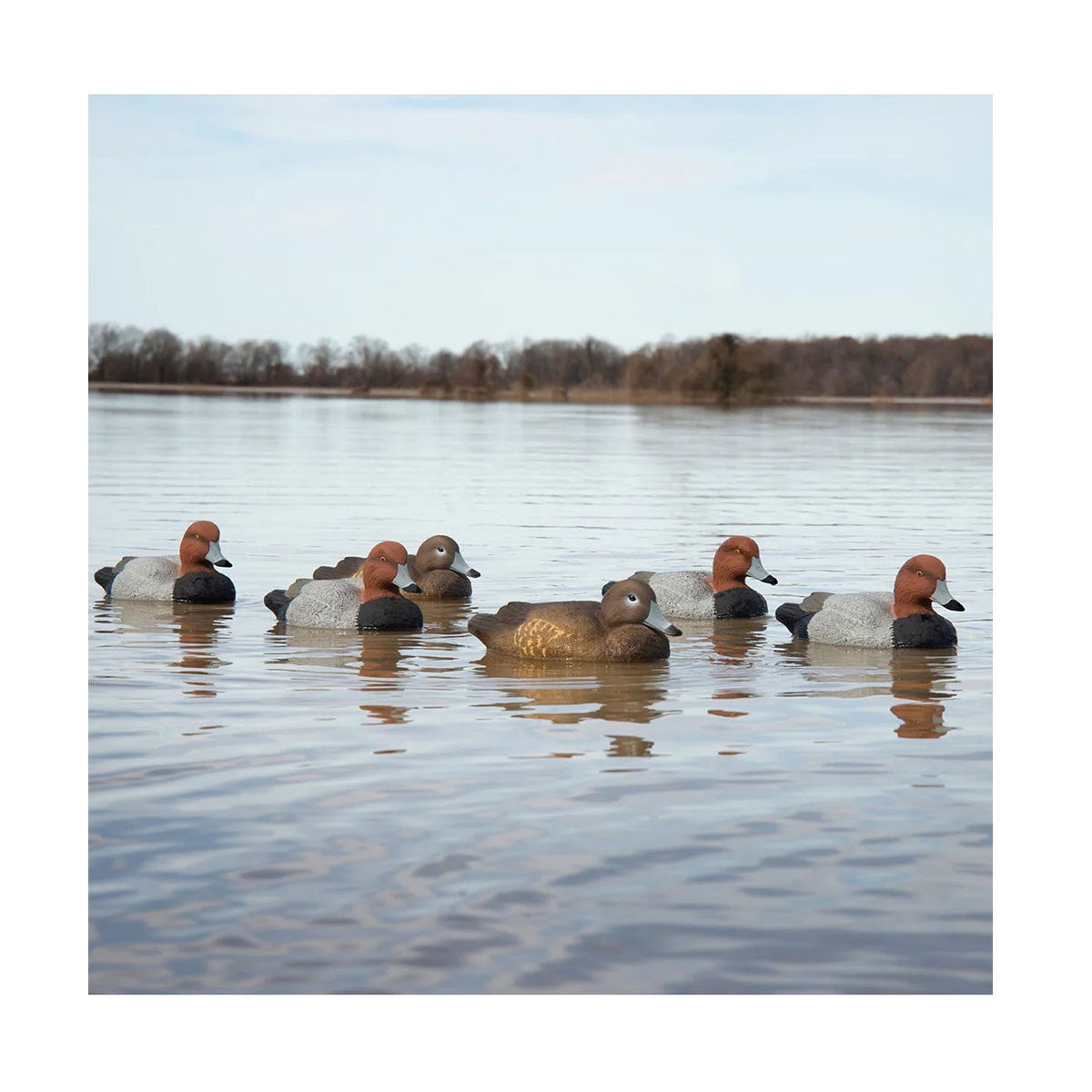 Higdon Standard Redhead Foam-Filled Duck Decoy 12 Pack In-the-Field Image