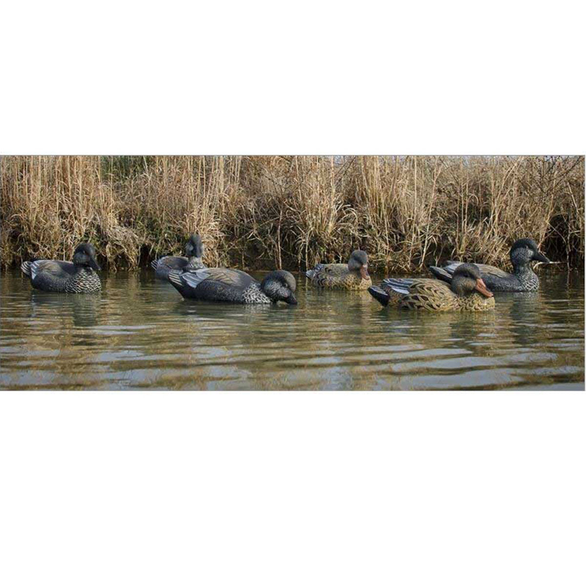 Higdon Standard Gadwall Foam Filled Duck Decoys 6 Pack Lifestyle Image
