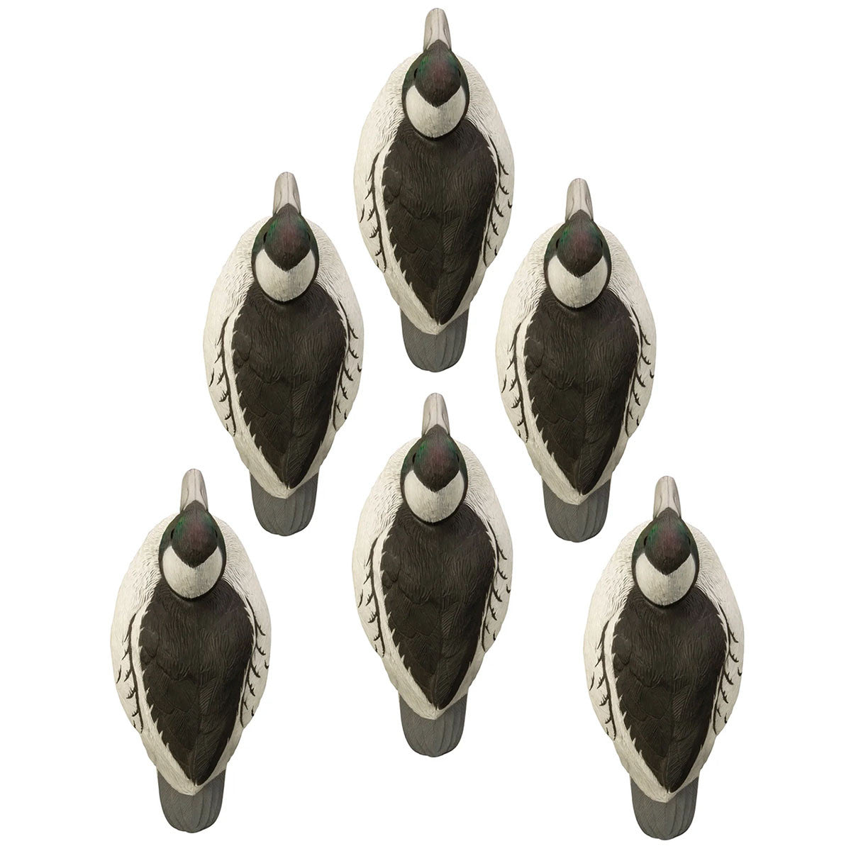 Standard Bufflehead Drake Foam-Filled Duck Decoys, 6 Pack