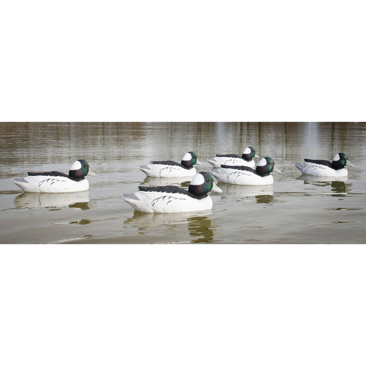 Higdon Outdoors Standard Bufflehead Drake Foam-Filled Duck Decoys - 6 Pack Lifestyle Image
