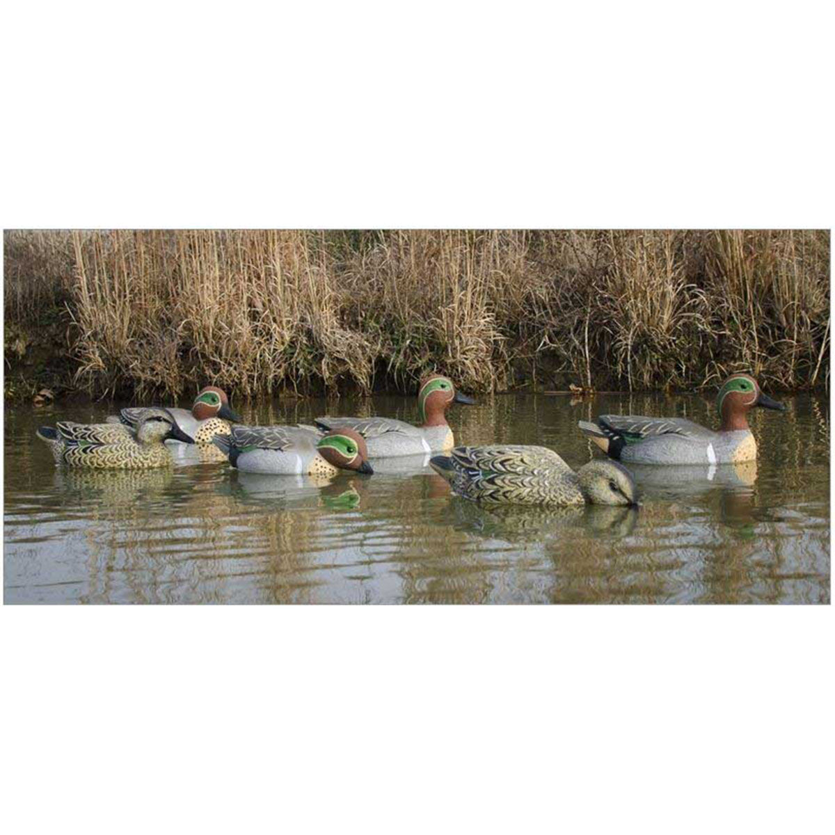 Higdon Standard Green-Winged Teal Foam Filled Duck Decoys Lifestyle Image