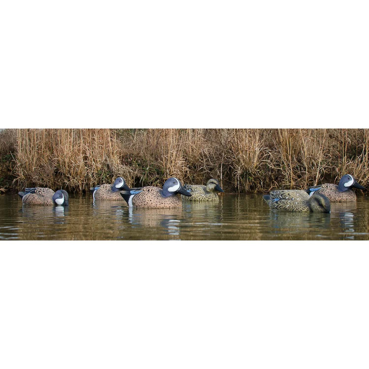 Higdon Outdoors Standard Blue-Winged Teal Foam Filled Duck Decoys, 12 Pack Field Image