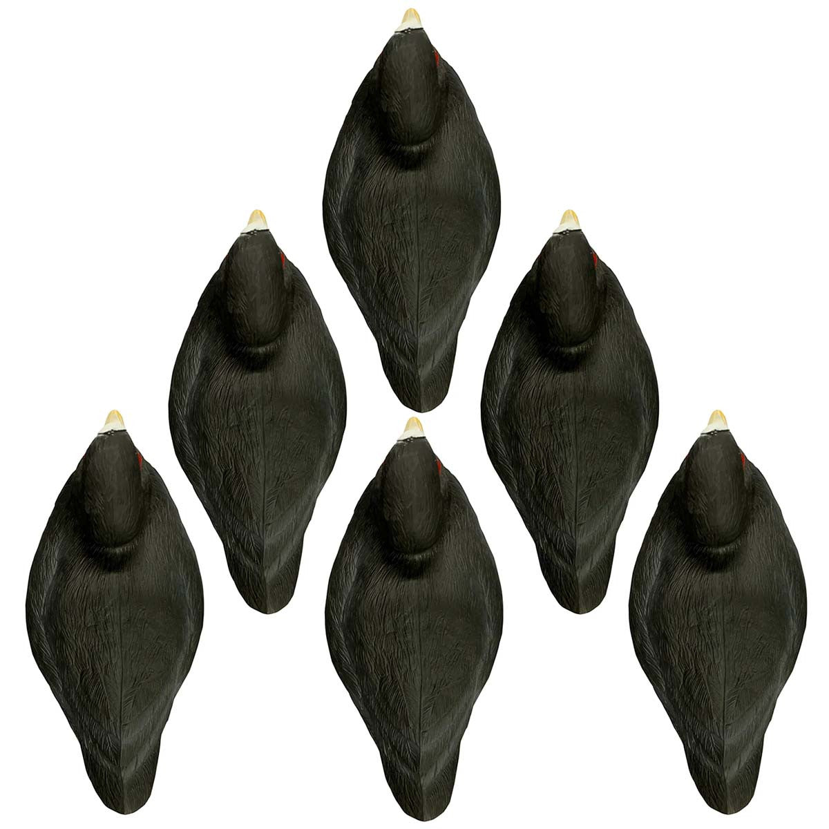 Higdon Standard Coots Foam-Filled Duck Decoys - 6 Pack Top Image