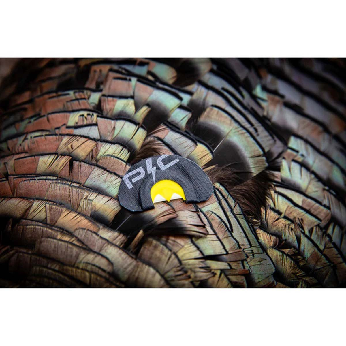Power Calls Short Circuit Diaphragm Turkey Calls - 3 Pack Field Image