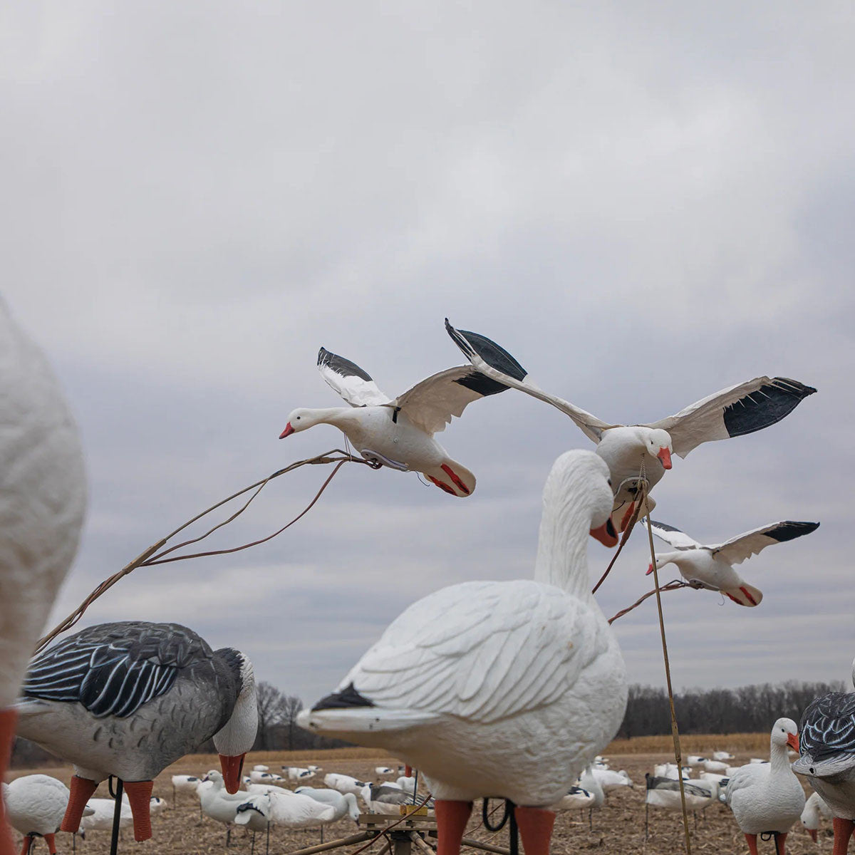 Higdon The Persuader Motorized Decoy Stand Image