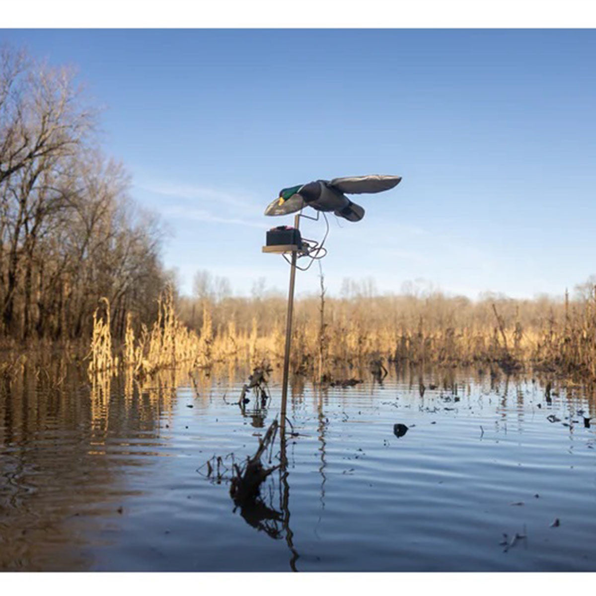 Higdon Outdoors Clone Water Stand Field Image