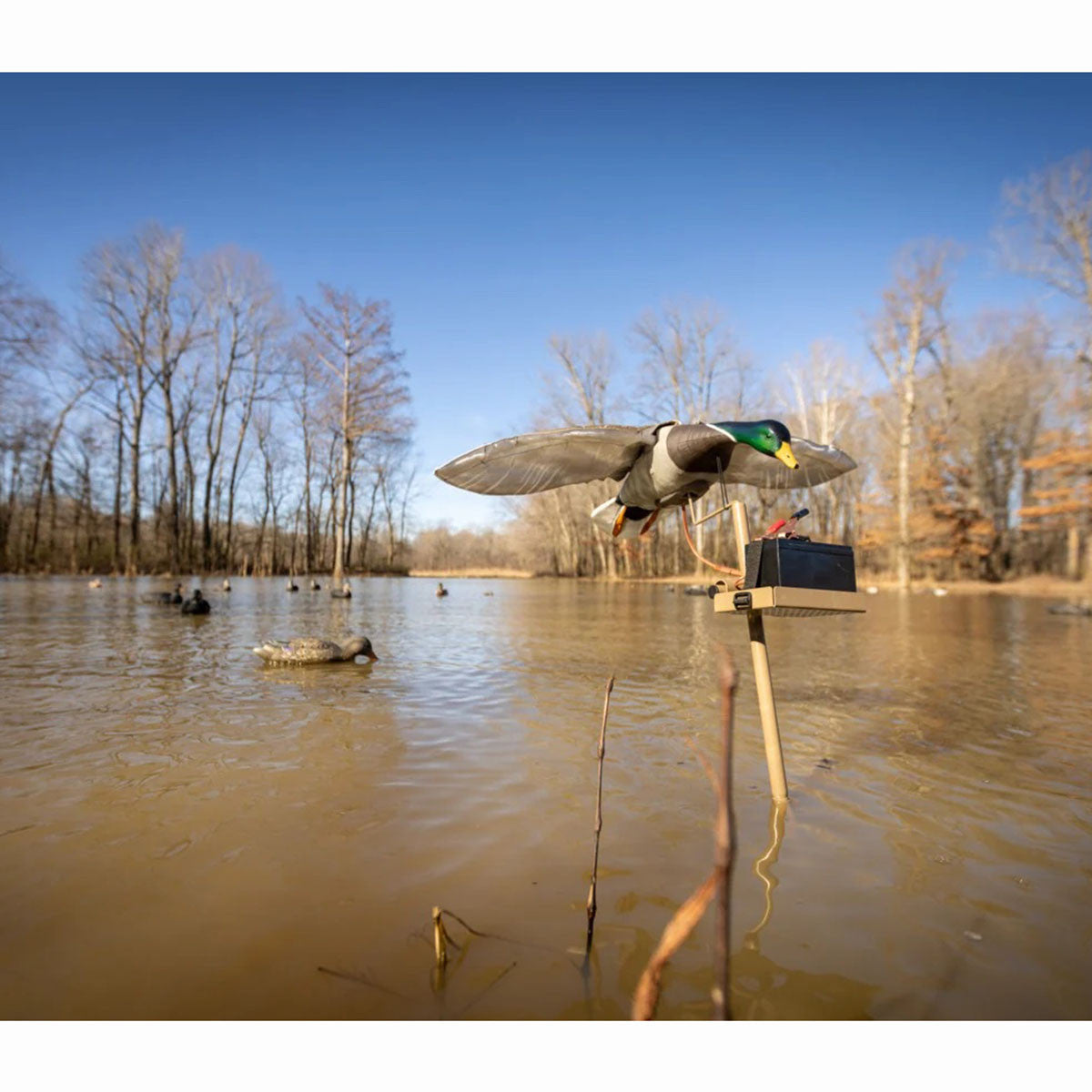 Higdon Outdoors Clone Water Stand Field Image