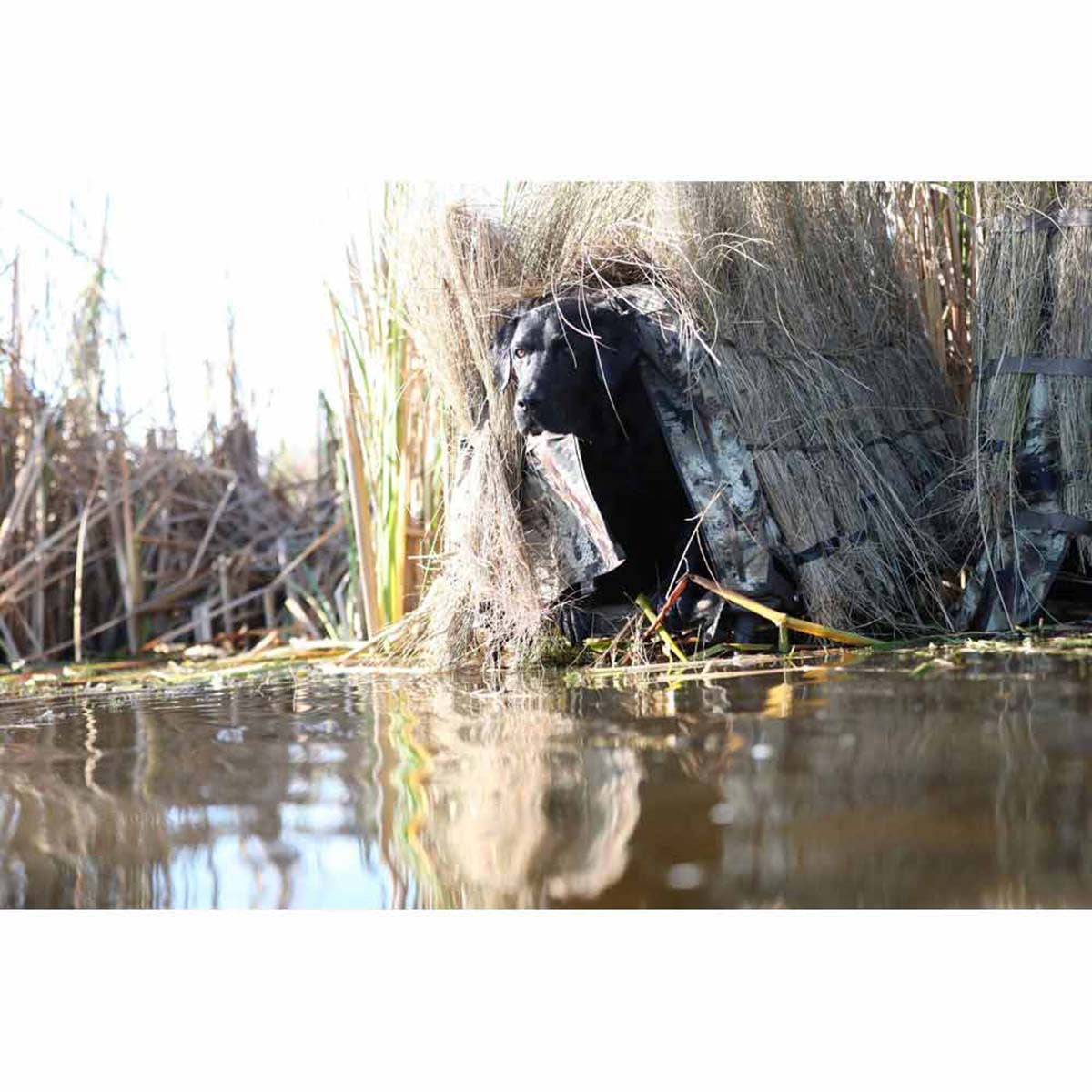 MOmarsh InvisiLab Dog Blind Image