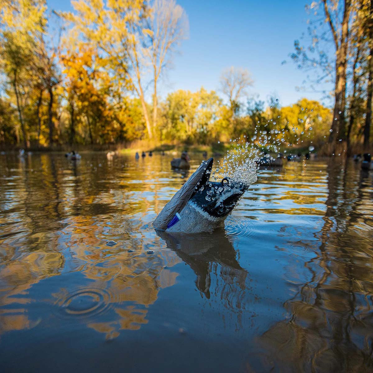 Higdon Mallard Drake 12V XS Pulsator Duck Decoy Image