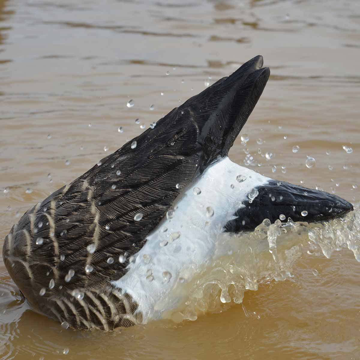 XS Pulsator Canada Goose Decoy