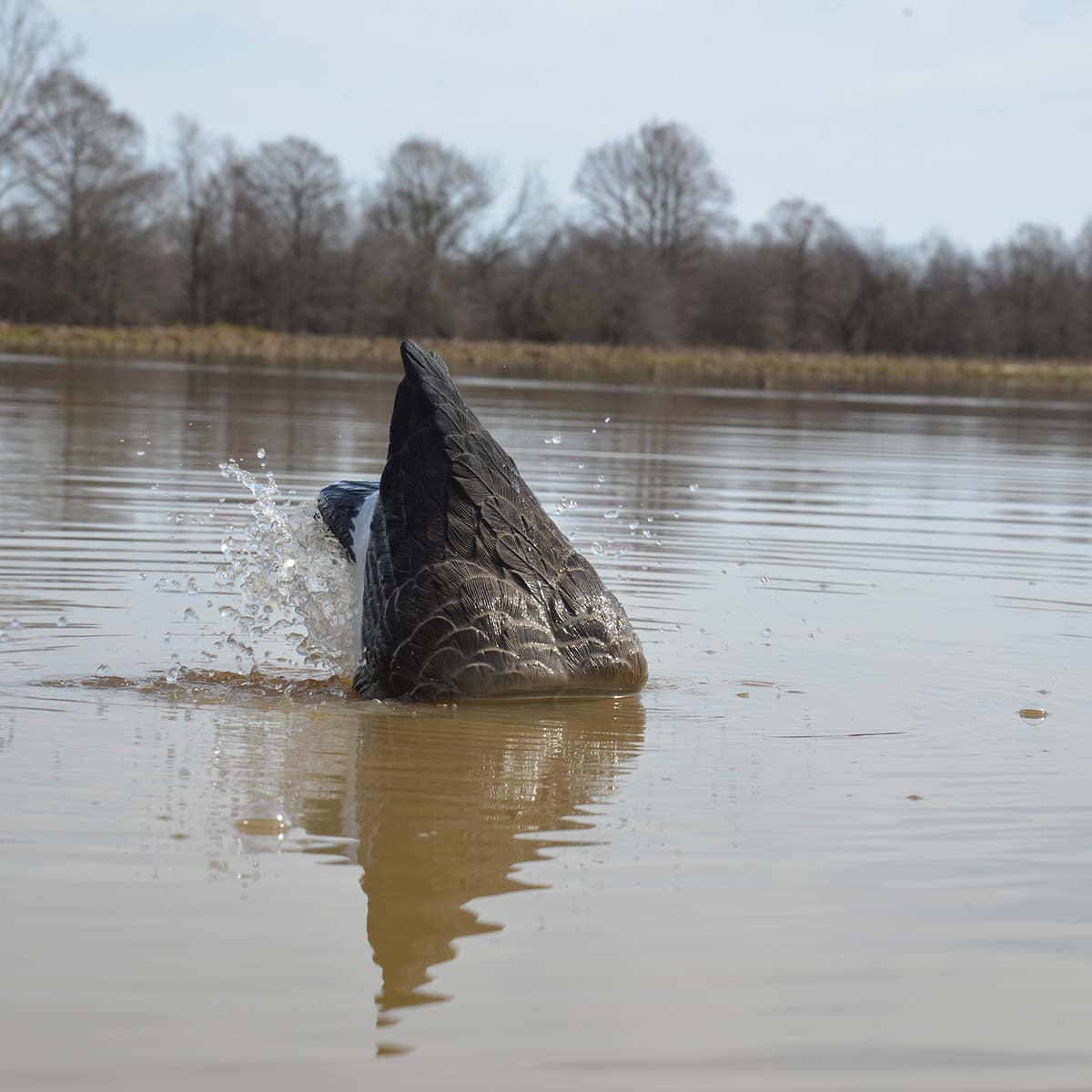 XS Pulsator Canada Goose Decoy
