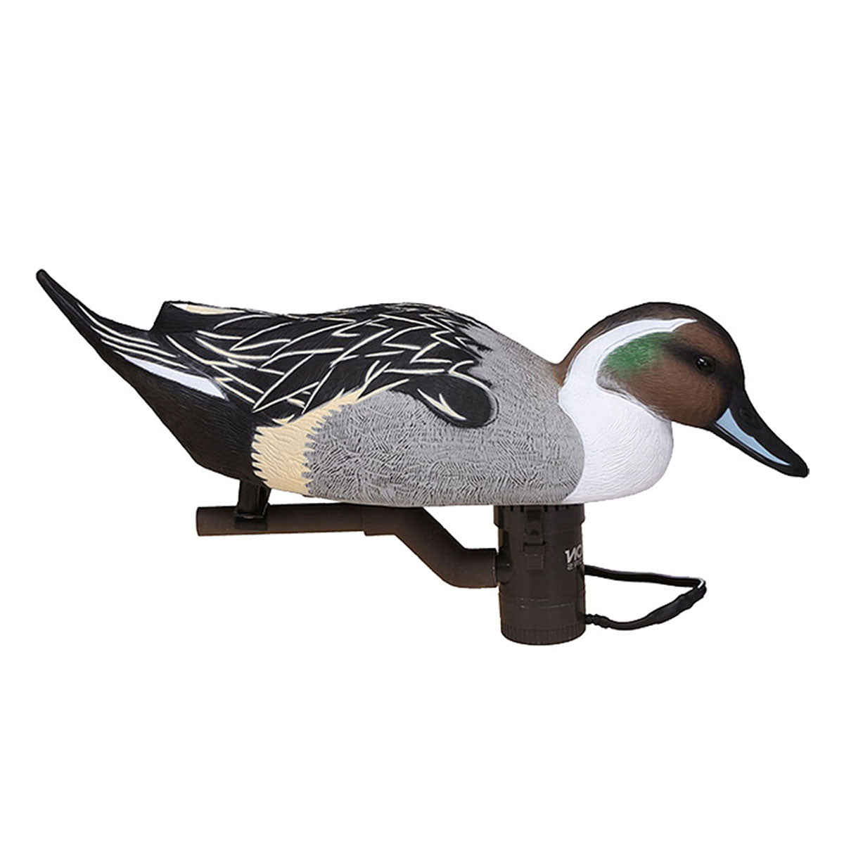 XS Battleship Pintail Swimmer