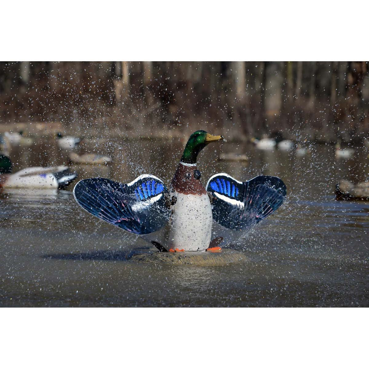 Higdon XS Splashing Flasher Mallard Drake Decoy Image
