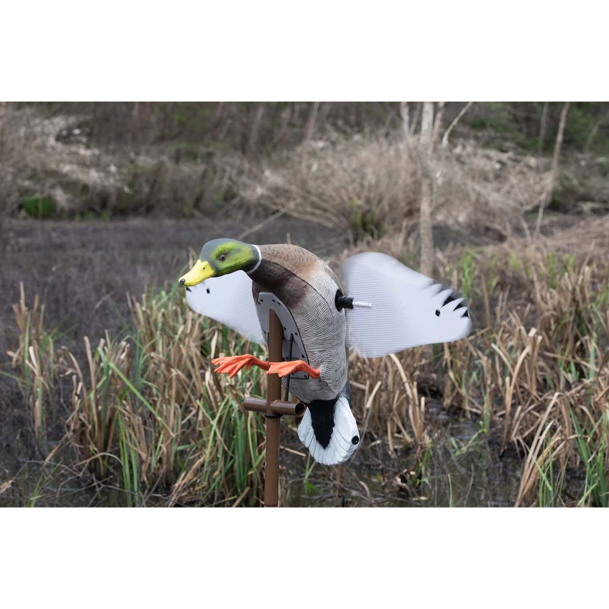 Higdon Outdoors Flasher PRO Mallard Drake Motion Duck Decoy Upright Position Field Image