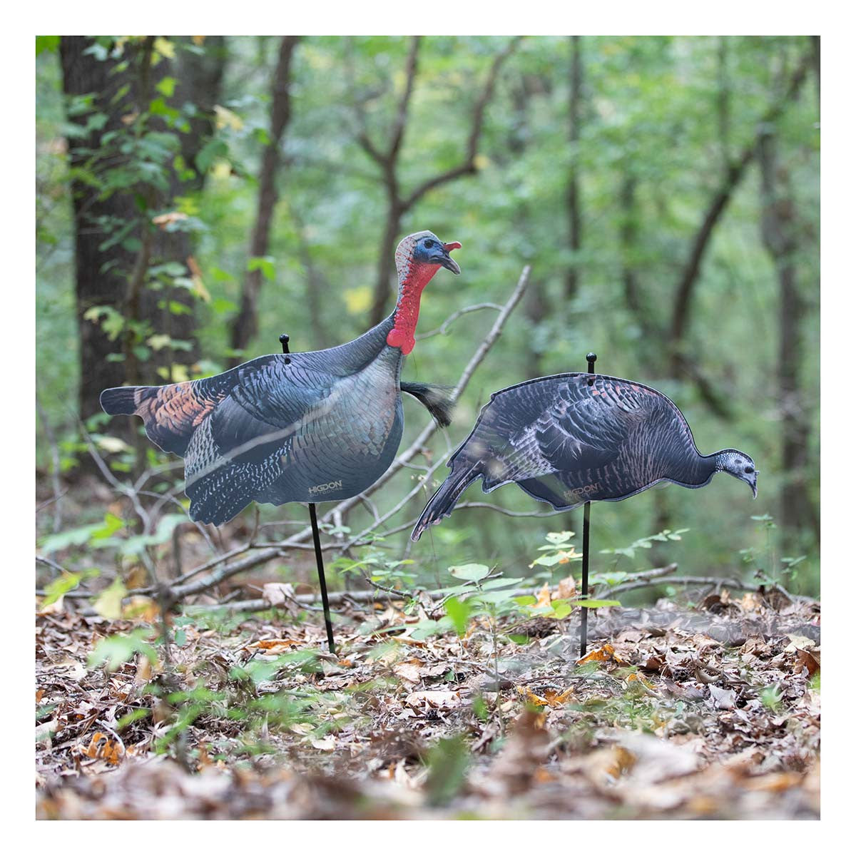 Higdon Outdoors FLEX Upright Tom and Feeding Hen Silhouette Turkey Decoy Combo Field Image