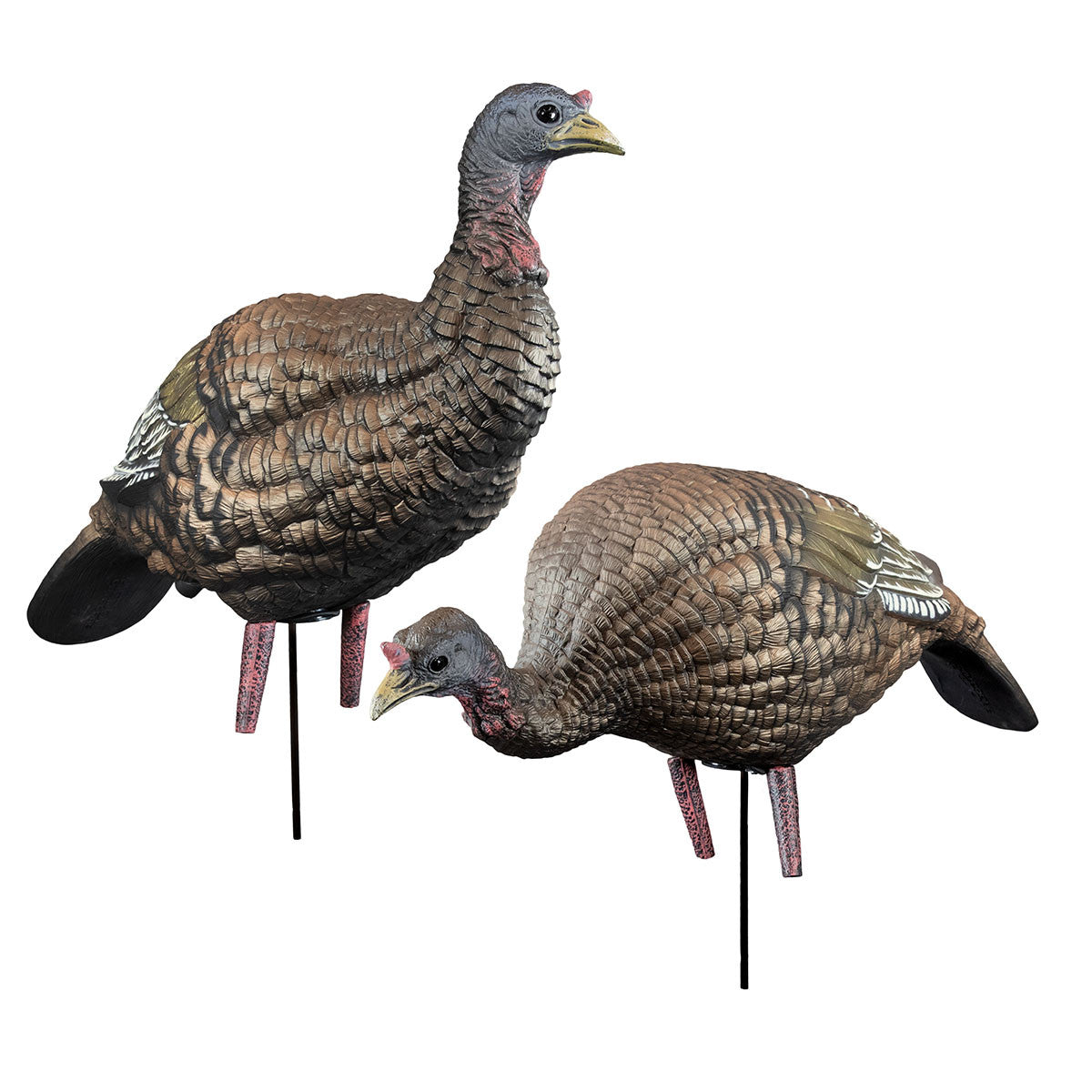 Higdon Outdoors The Girls Hard Body Turkey Decoy Combo Image