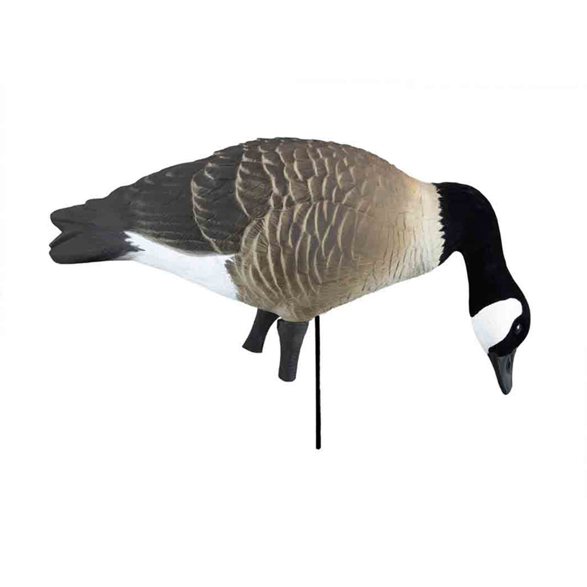 Higdon Apex Full Size Full Body Canada Goose Decoys Image