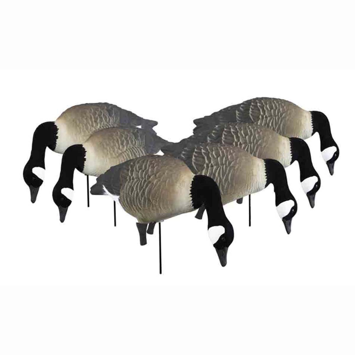 Full-Size Full-Body TruFeeder Canada Goose Decoys, 6 Pack