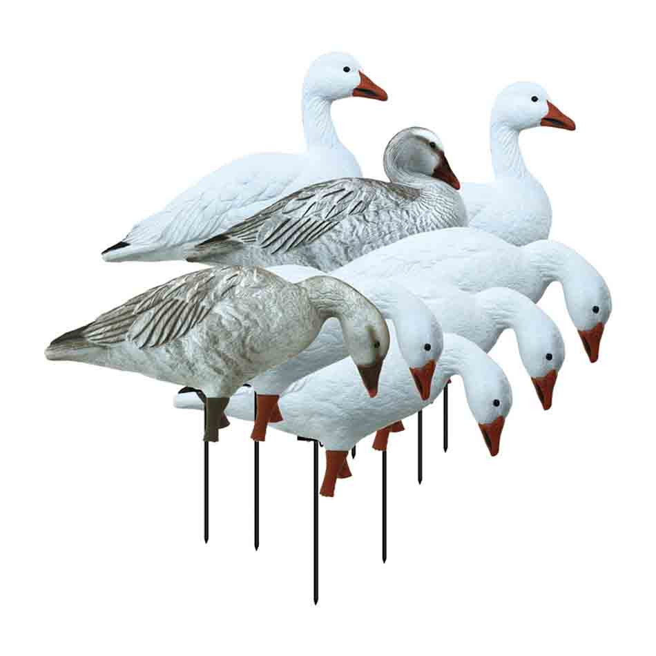 Apex Full-Size Full-Body Variety 8 Pack, Snow/Juvenile