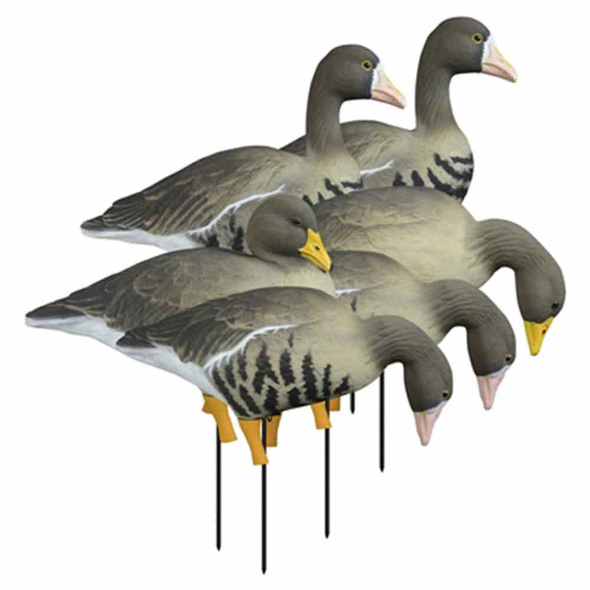 Higdon Outdoors Apex Full Size Full Body Specklebelly, 6 Pack Image